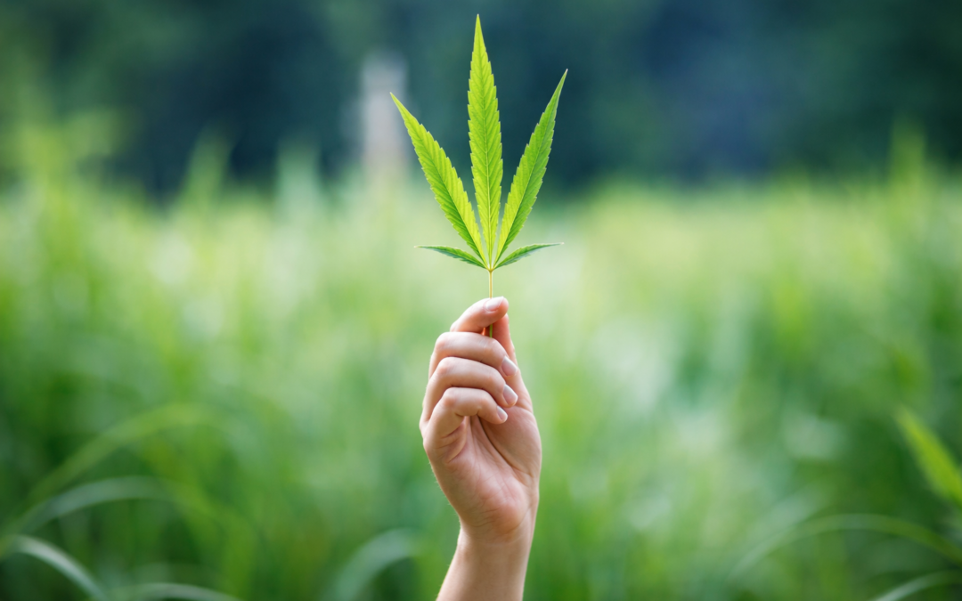 From the Green Cloud: Dealing with the Effects of Marijuana in Treatment (1.5HR)