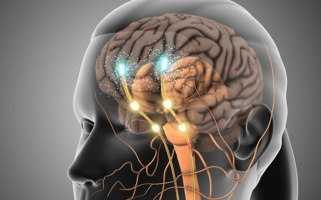 Advanced Nervous System Strategies to Support Regulation & Mind Body Connection (3HR)