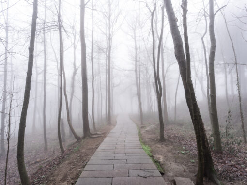 Sacred Goodbyes: Grief Practices Across Cultures and Spiritual Traditions (3HR)